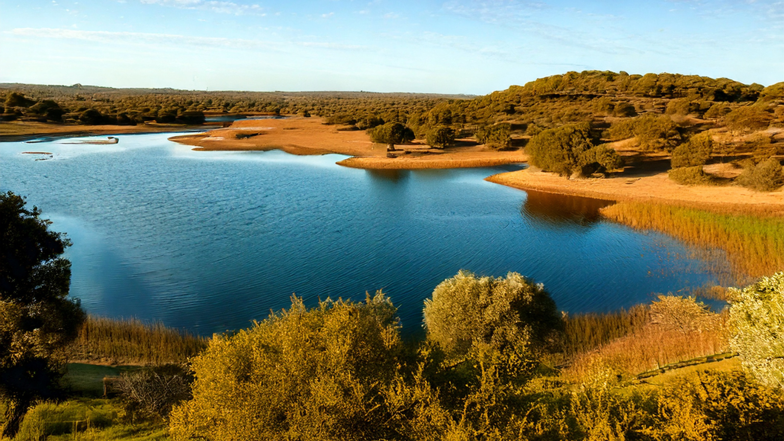 Aumento do Armazenamento das Bacias Hidrográficas